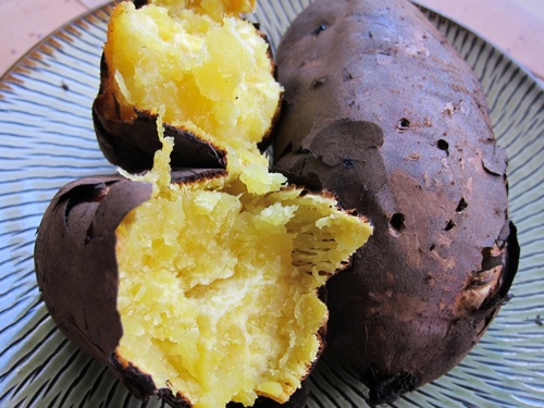 batata satsumaimo camote japón