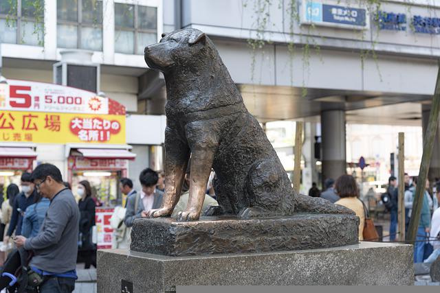 hachiko statue
