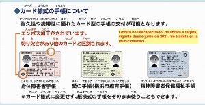 ayuda discapacidad japon