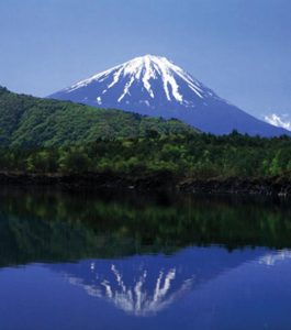 Fujigoko