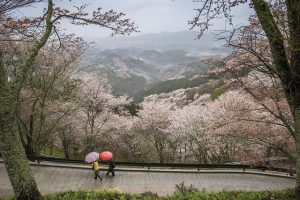 aprendiendo japones lluvia en japon