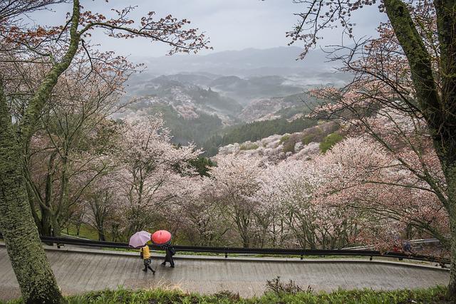 aprendiendo japones lluvia en japon